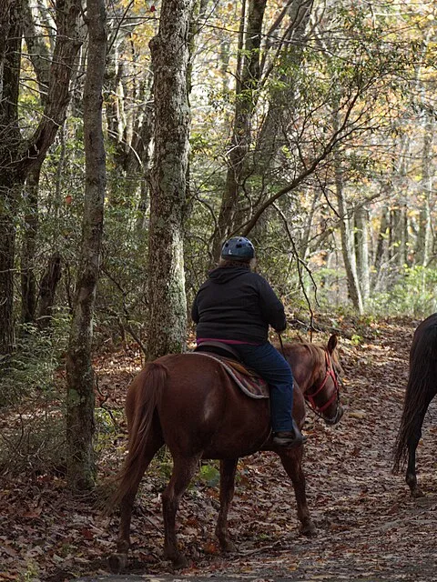 Horse Riding